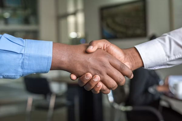 Professional business partnership
